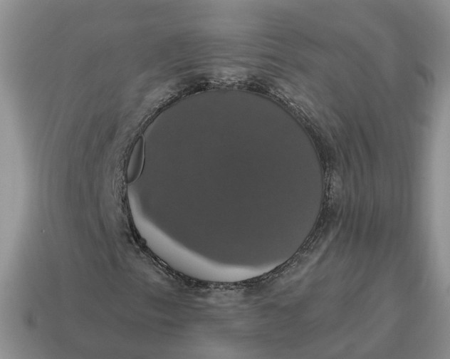 X0000114581153200911091230