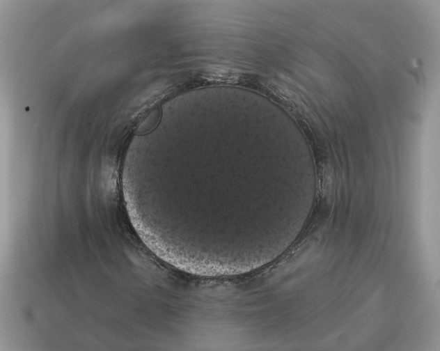 X0000114581154200911091230