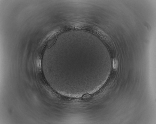 X0000114581155200911091230