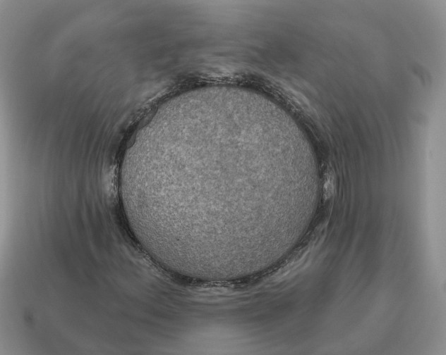 X0000114581156200911091230