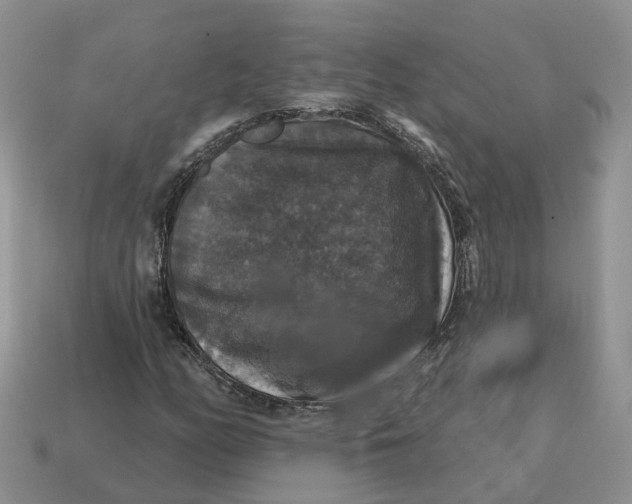 X0000114581158200911091230