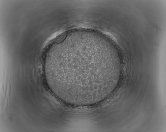 X0000114581159200911091230