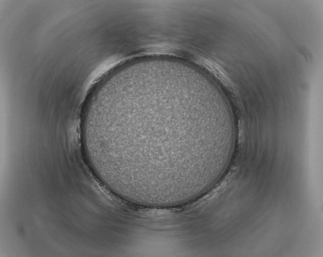 X0000114581164200911091230