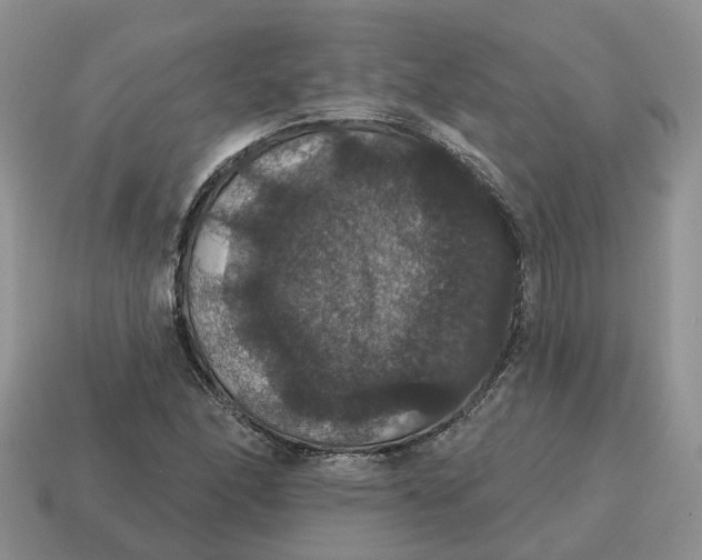 X0000114581166200911091230