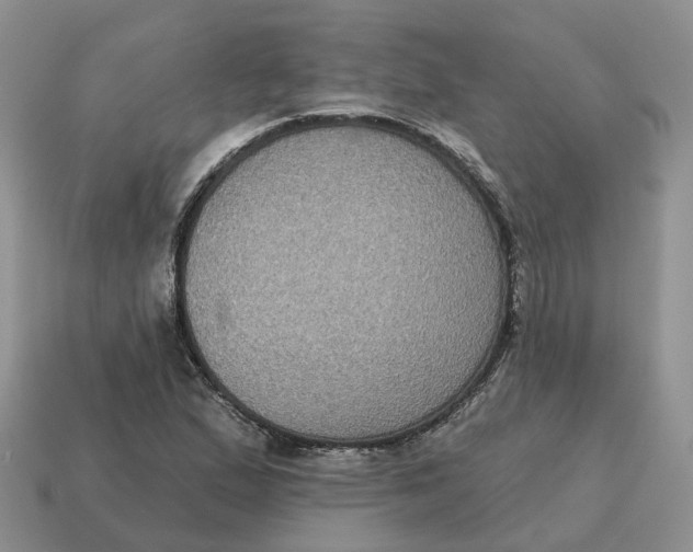 X0000114581167200911091230