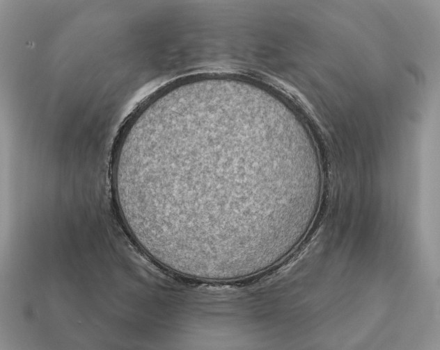 X0000114581168200911091230