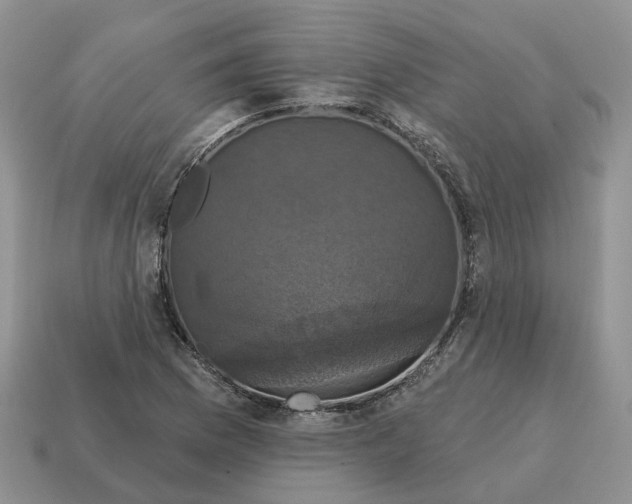 X0000114581169200911091230