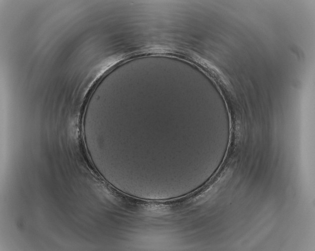 X0000114581170200911091230