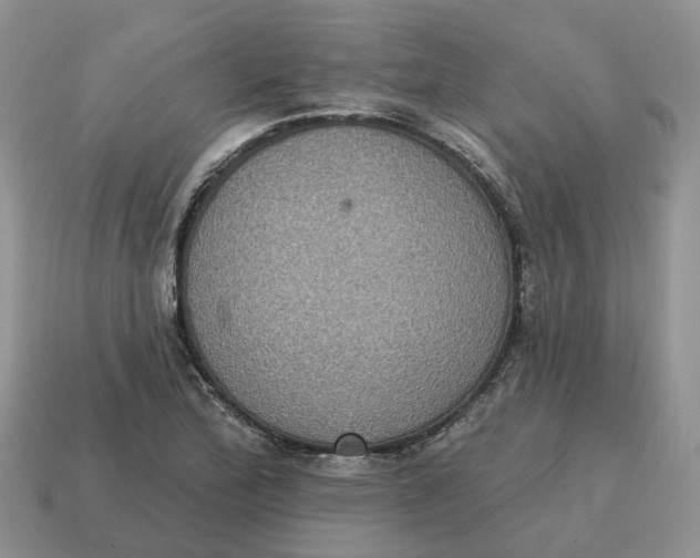 X0000114581172200911091230