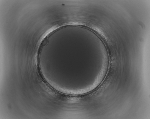 X0000114581173200911091230