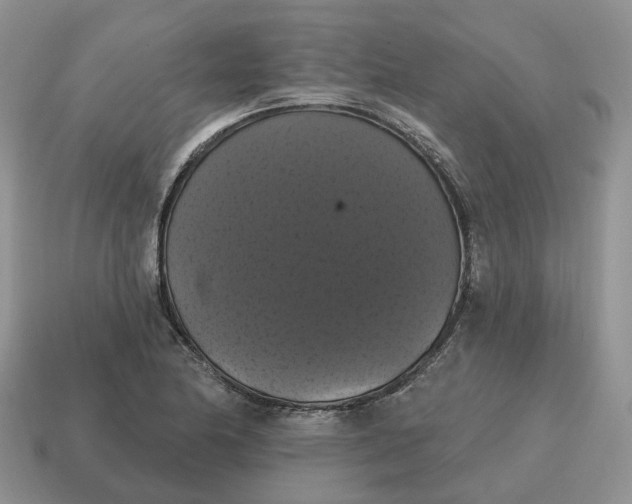 X0000114581174200911091230