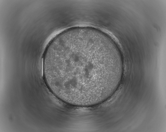 X0000114581175200911091230