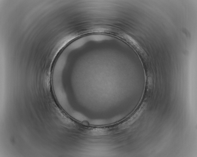 X0000114581178200911091230