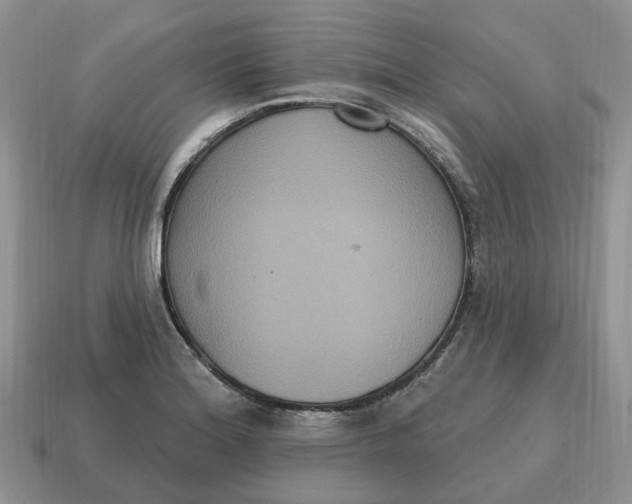 X0000114581180200911091230