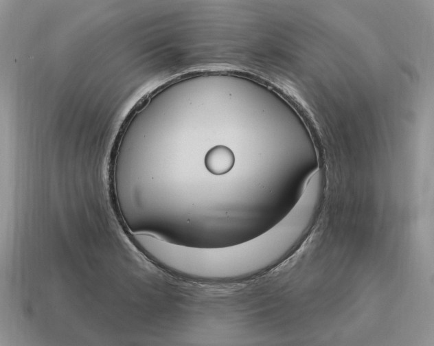 X0000114581181200911091230