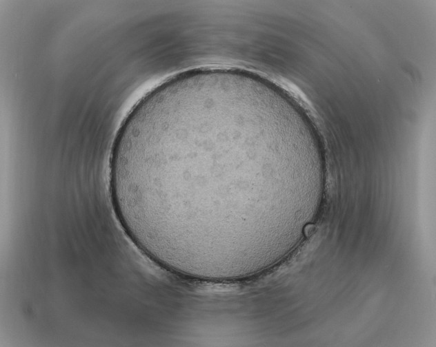 X0000114581183200911091230