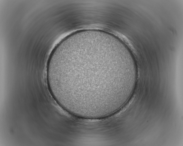 X0000114581184200911091230