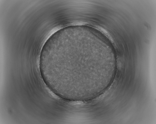 X0000114581186200911091230