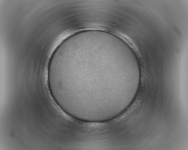 X0000114581188200911091229