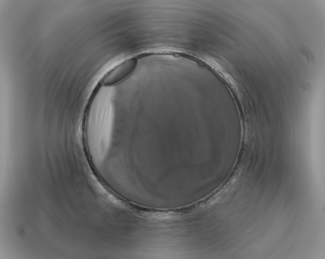 X0000114581189200911091229