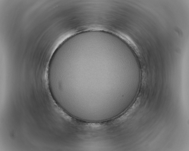 X0000114581190200911091229