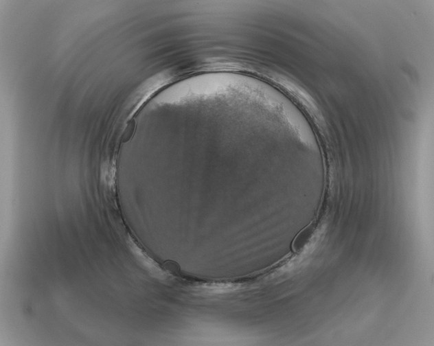 X0000114581193200911091229