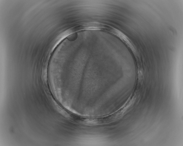 X0000114581194200911091229