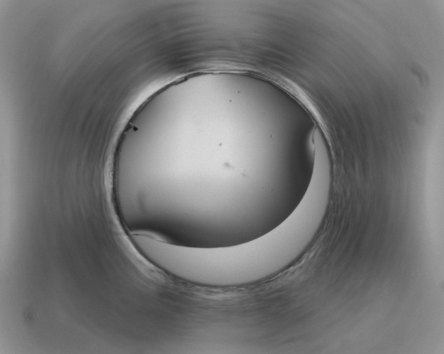 X0000114581195200911091229