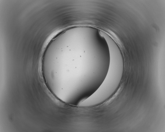 X0000114581196200911091229