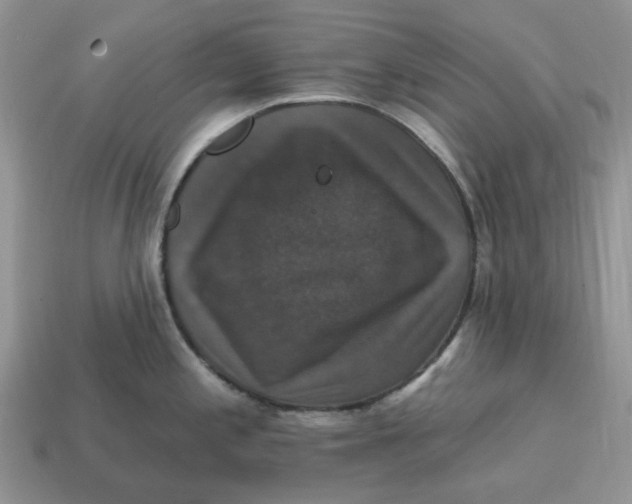 X0000114581197200911091229