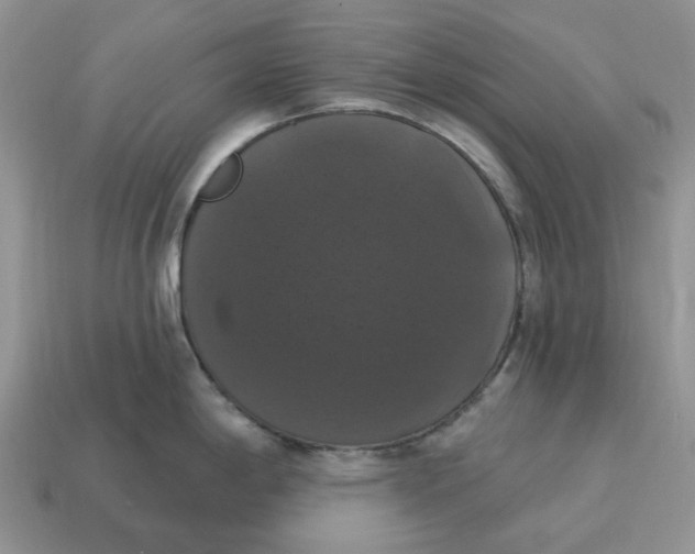 X0000114581198200911091229