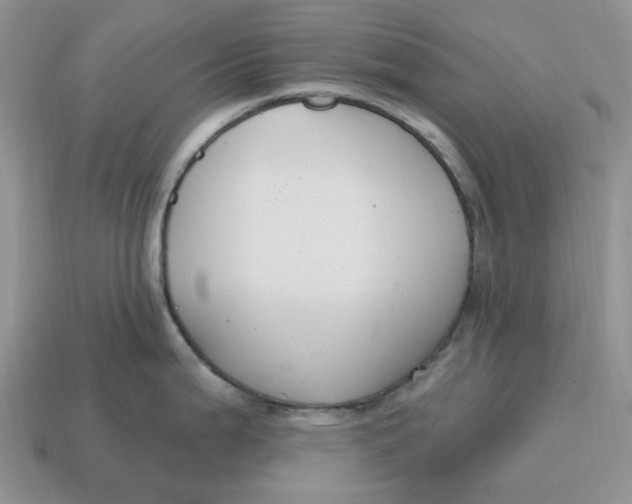 X0000114581199200911091229