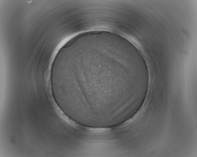 X0000114581200200911091229