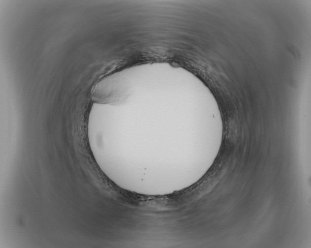 X0000114581201200911091229