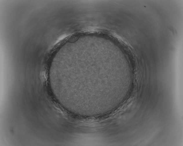 X0000114581206200911091229