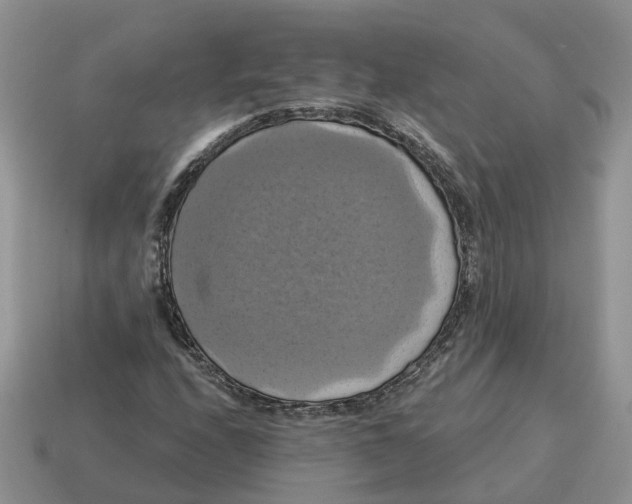 X0000114581208200911091229