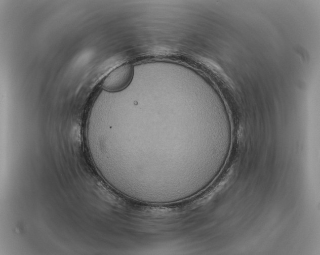 X0000114581209200911091229