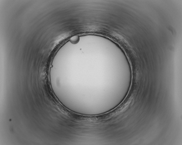 X0000114581210200911091229