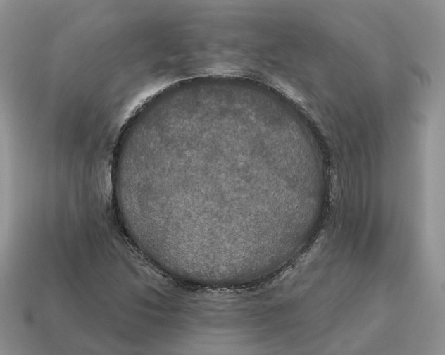 X0000114581214200911091229