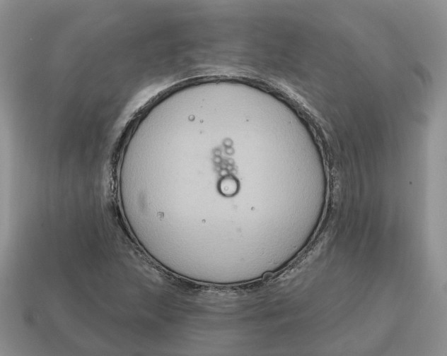 X0000114581215200911091229