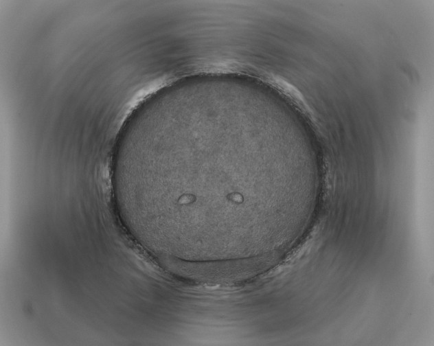 X0000114581218200911091229