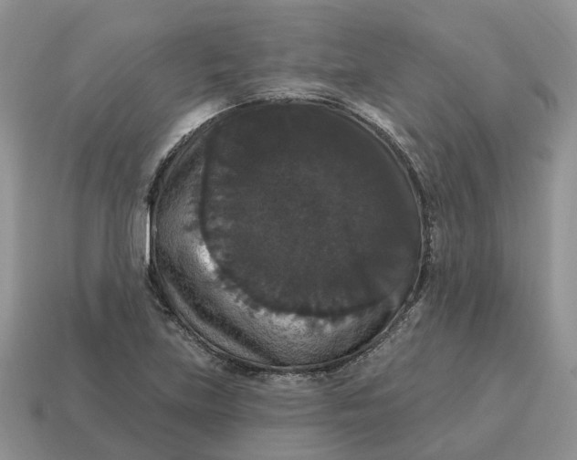 X0000114581219200911091229