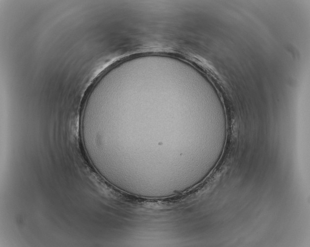 X0000114581220200911091229