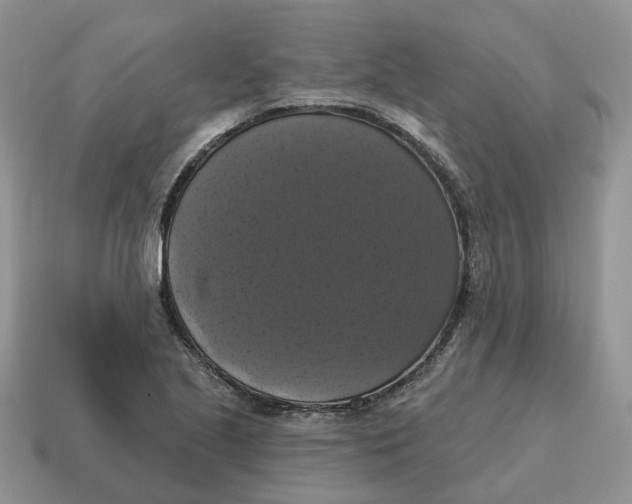 X0000114581221200911091229