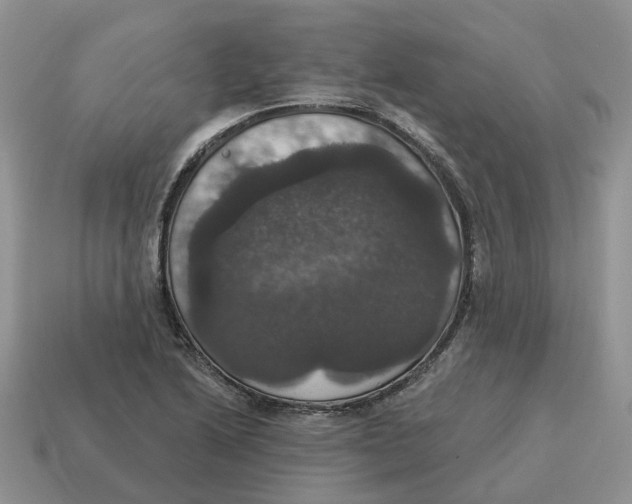 X0000114581222200911091229