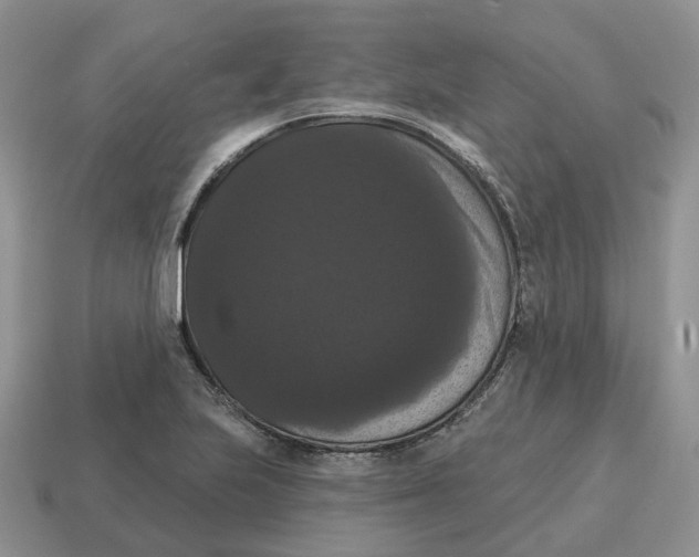 X0000114581223200911091229