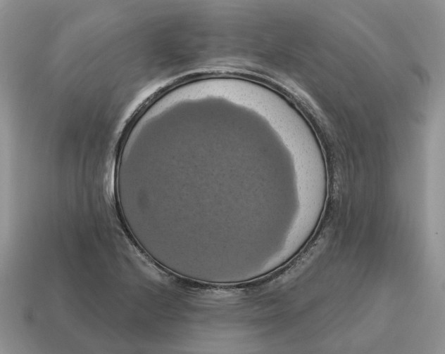 X0000114581224200911091229