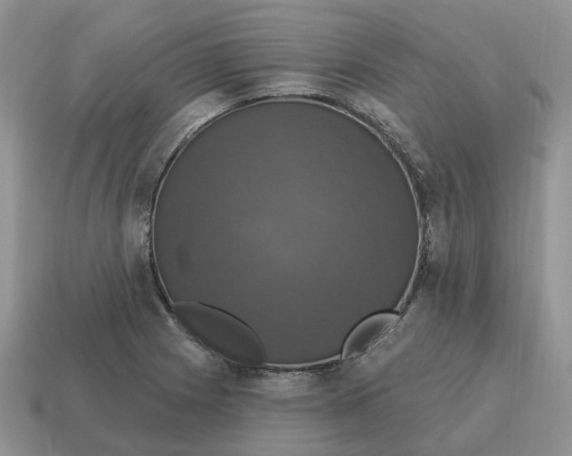 X0000114581225200911091229