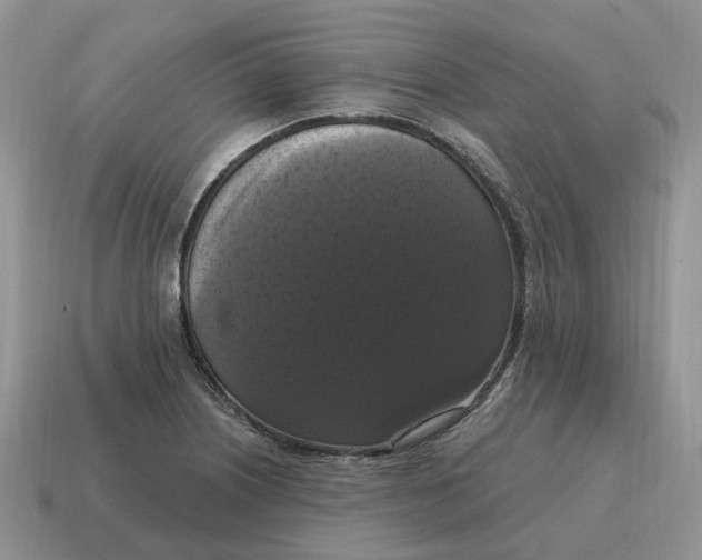 X0000114581226200911091229