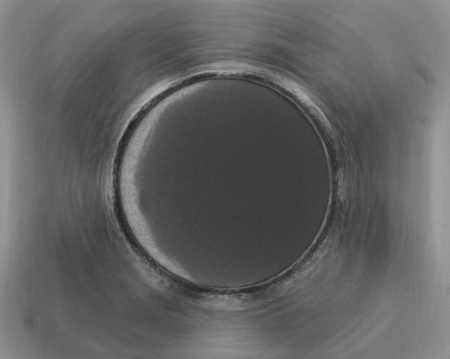 X0000114581229200911091229